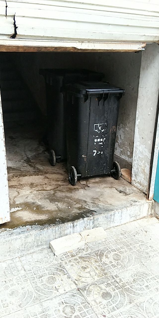 20190712_12268_1562896920216.jpg