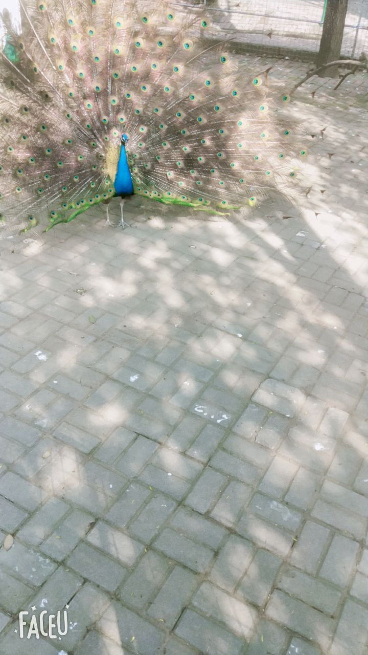 20190712_321744_1562915481233.jpg