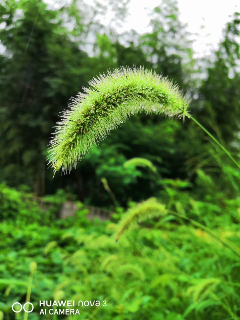 20190713_81442_1562973981428.jpg