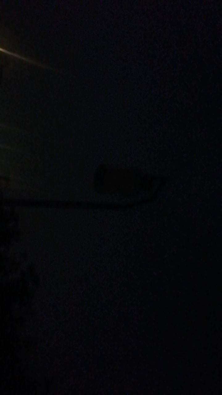 20190713_29289_1563023995331.jpg