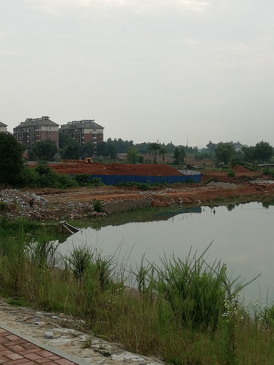 20190714_41087_1563070548731.jpg