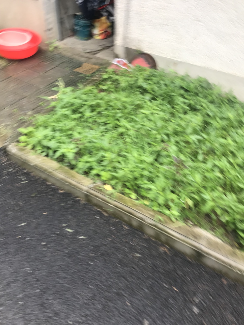 201907142829311563077796642714.jpg