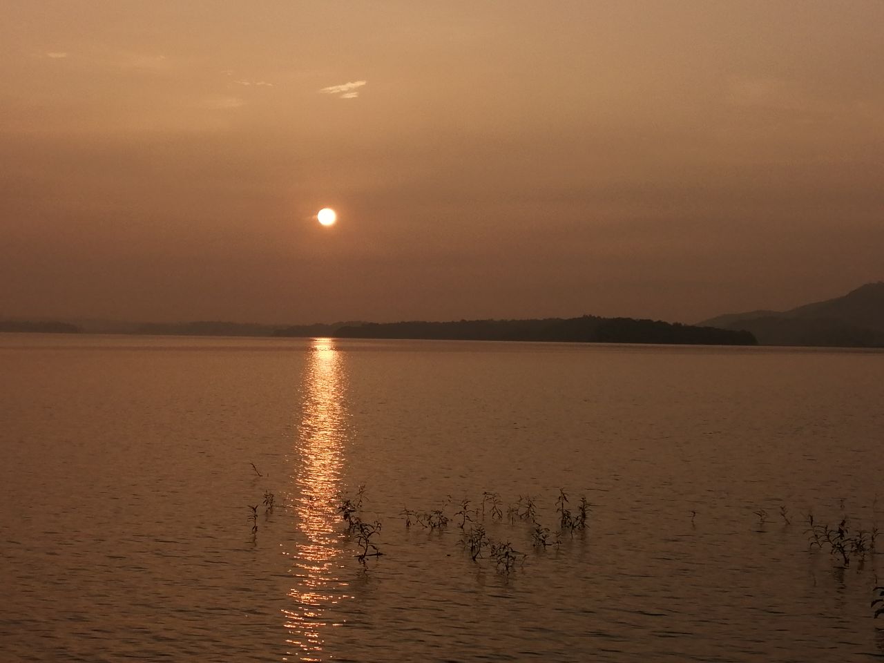 20190715_321671_1563154841976.jpg