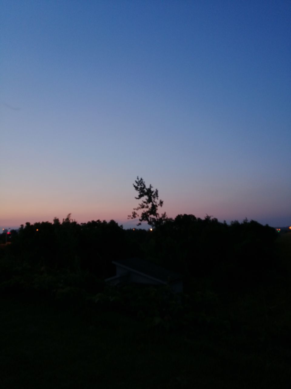 20190715_321671_1563154842394.jpg