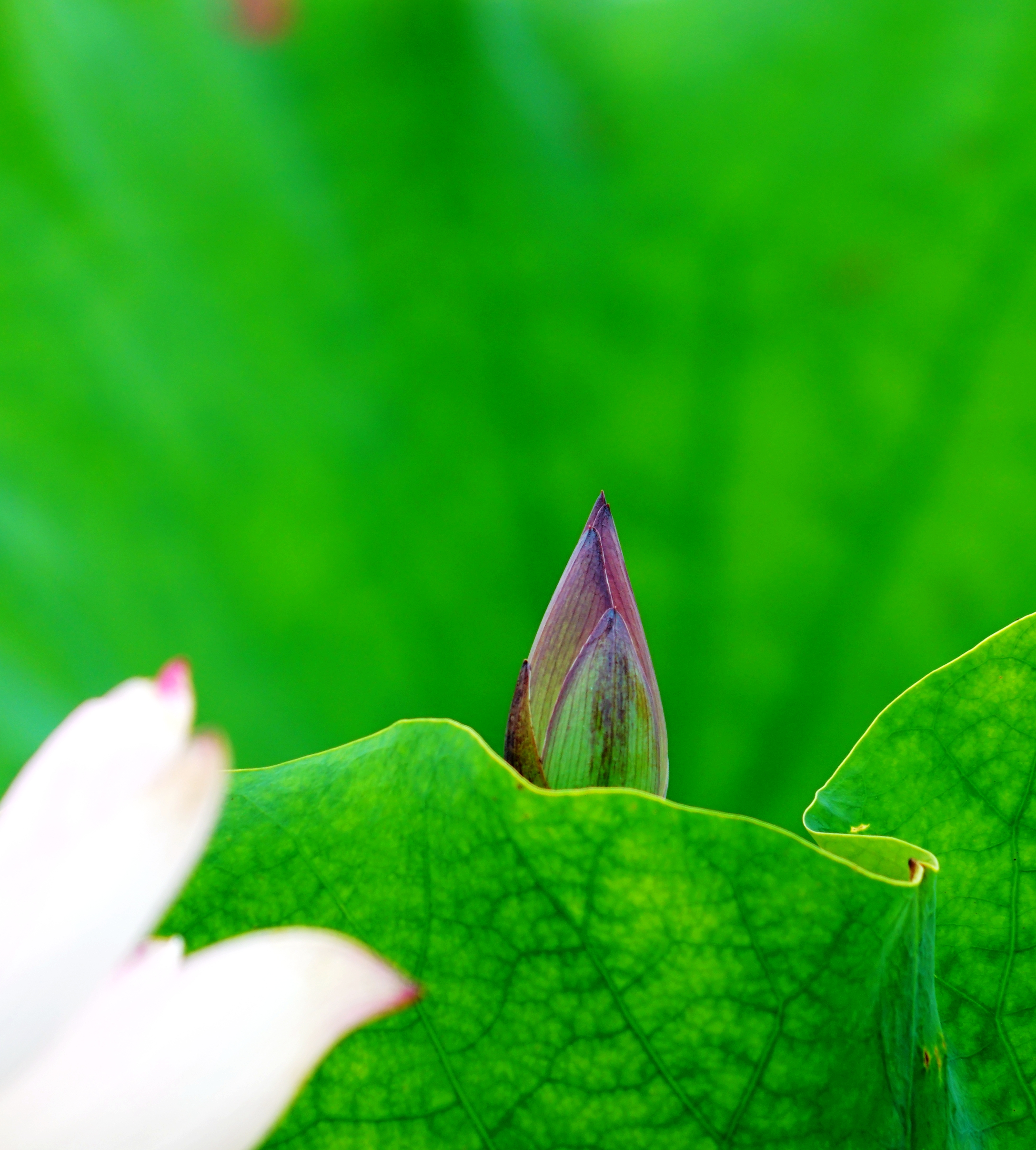DSC04716_副本.jpg