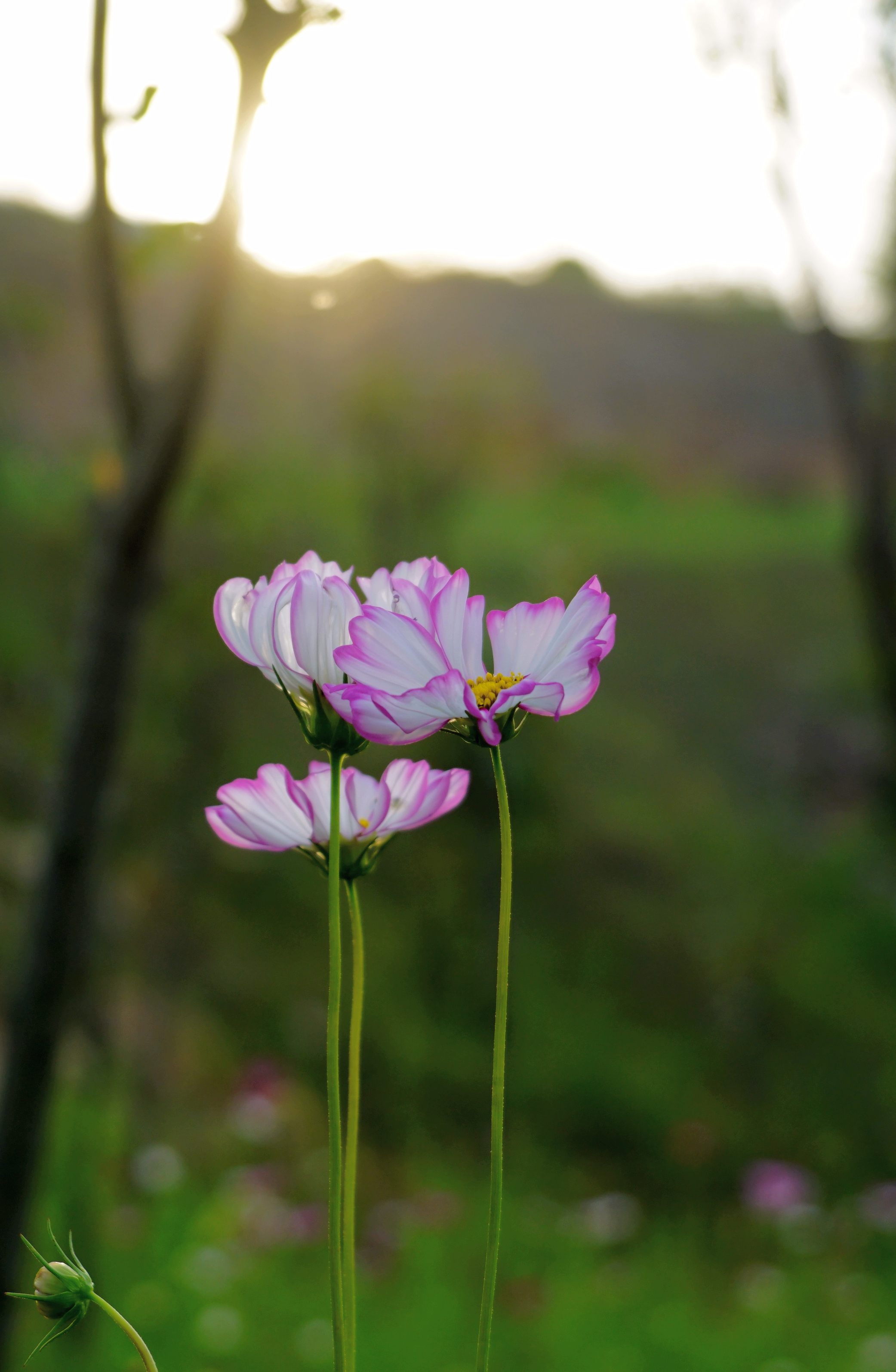 DSC04816_副本.jpg