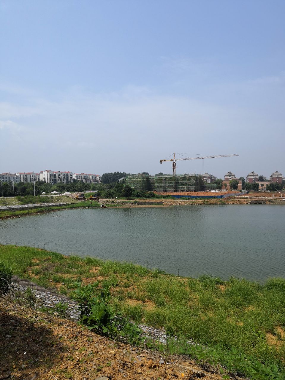 20190717_279008_1563359813169.jpg