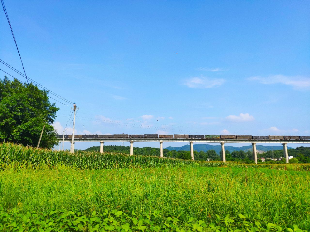 20190720_235798_1563616826165.jpg