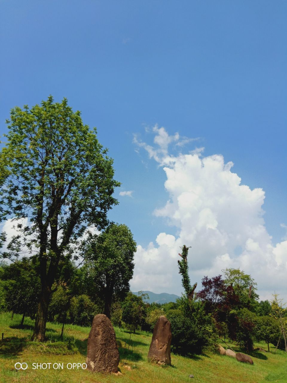 20190721_14383_1563677080087.jpg