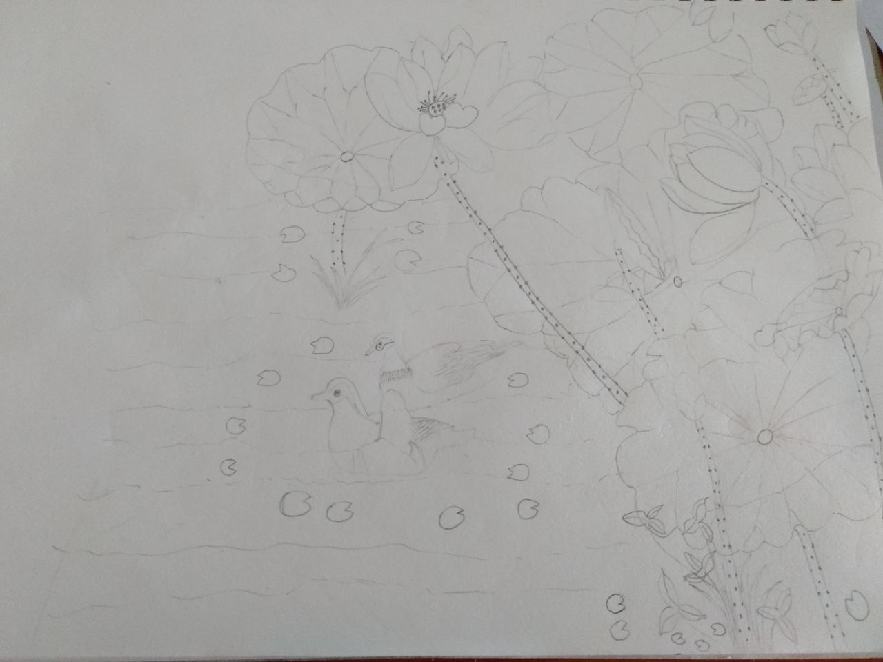 20190721_318466_1563684803111.jpg