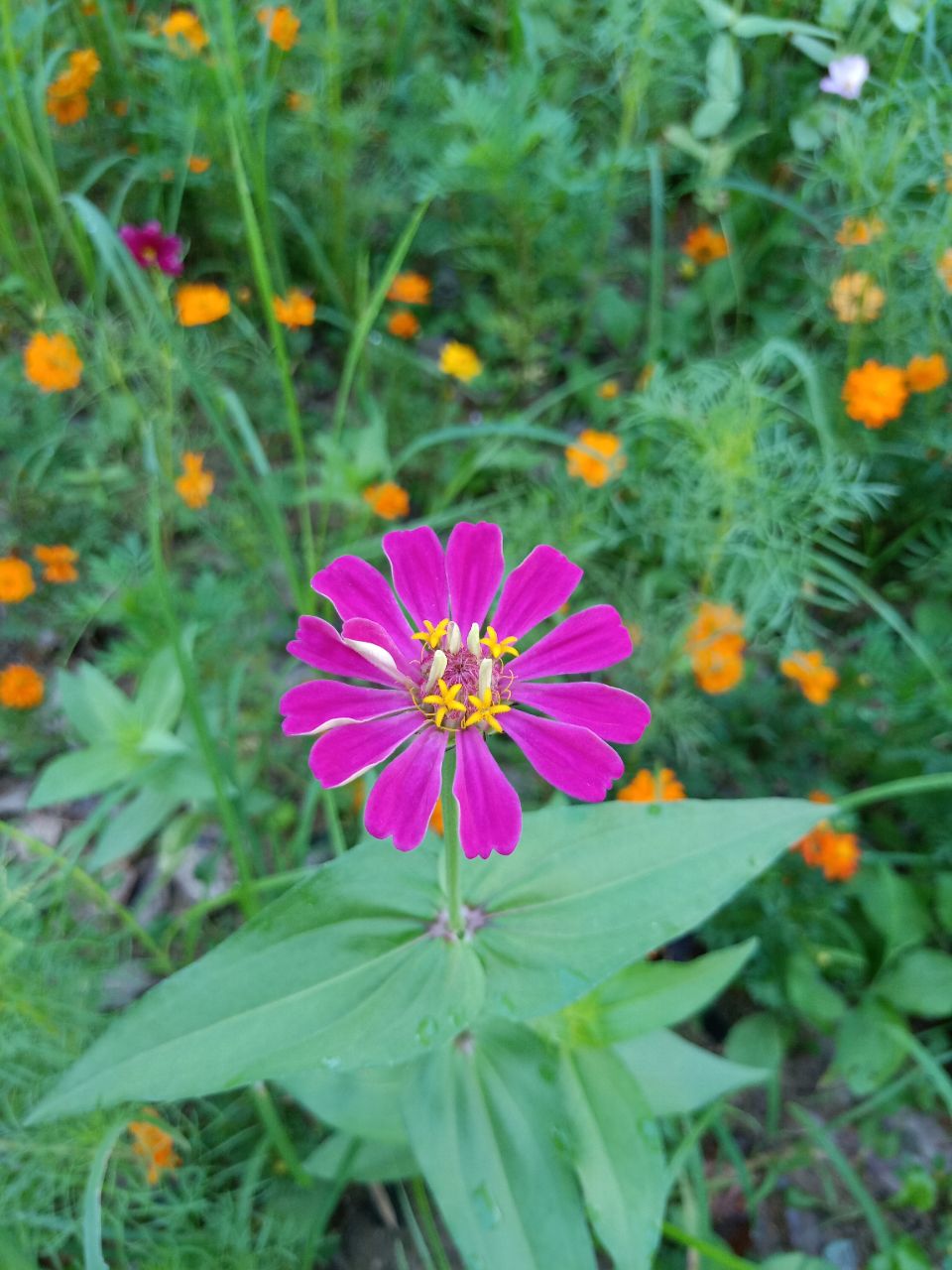 20190722_14383_1563758056957.jpg