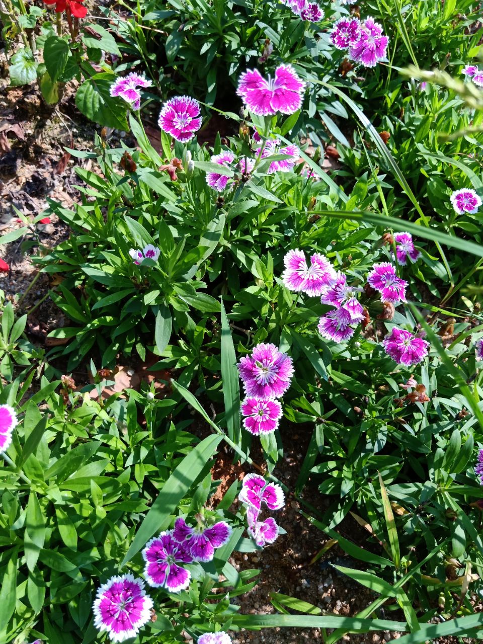 20190722_14383_1563758058168.jpg