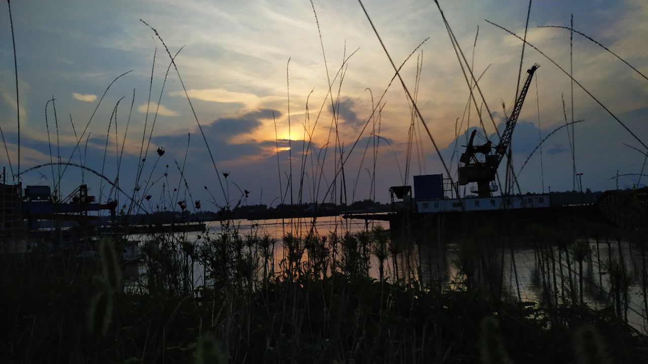 20190722_8459_1563765552278.jpg