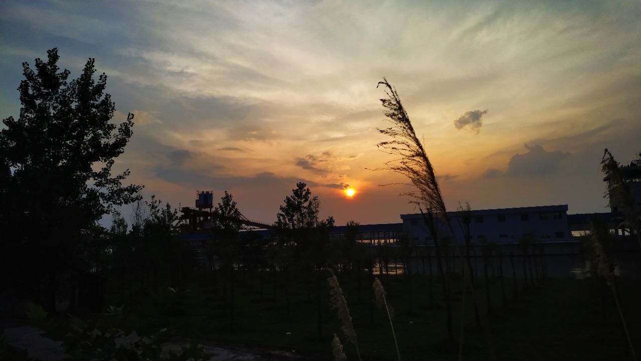 20190722_8459_1563765552416.jpg