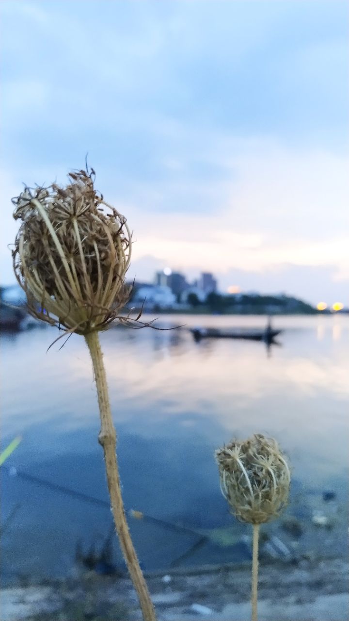 20190722_8459_1563796365211.jpg