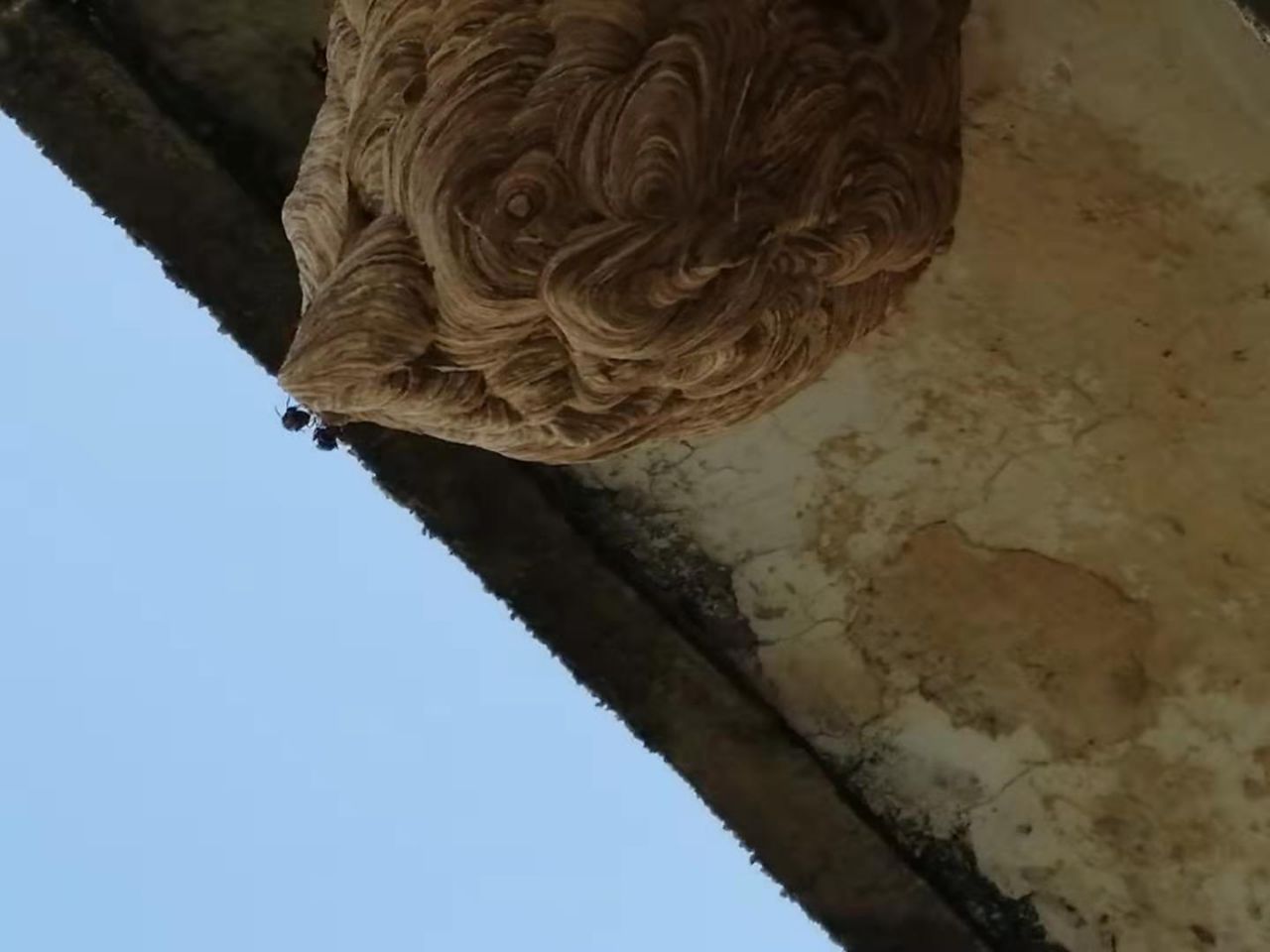 20190725_72700_1564044617028.jpg