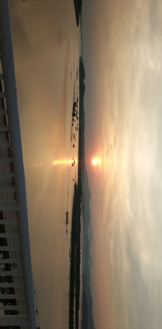 20190726_311192_1564105973560.jpg