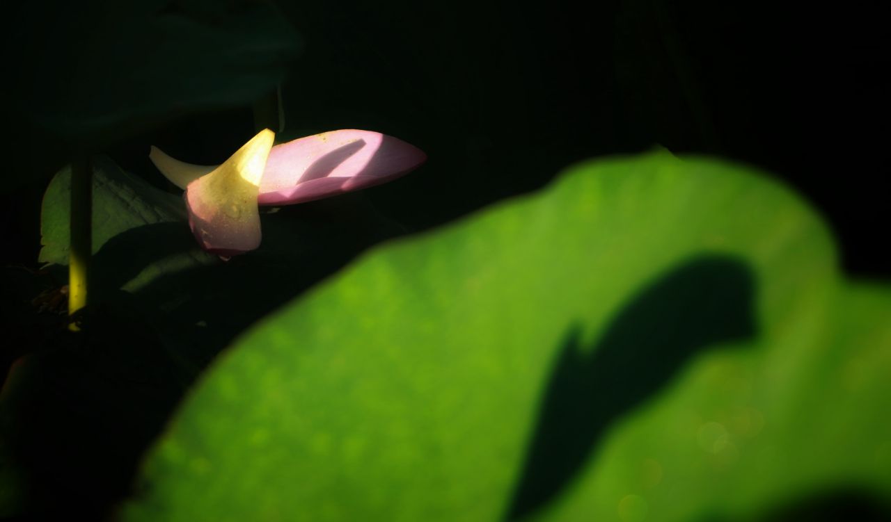 20190726_293707_1564128781577.jpg