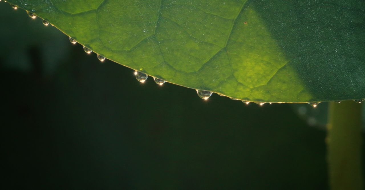 20190726_293707_1564128781765.jpg