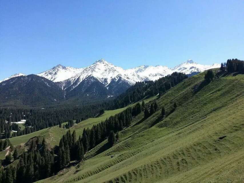 201907263246561564151072013765.jpg