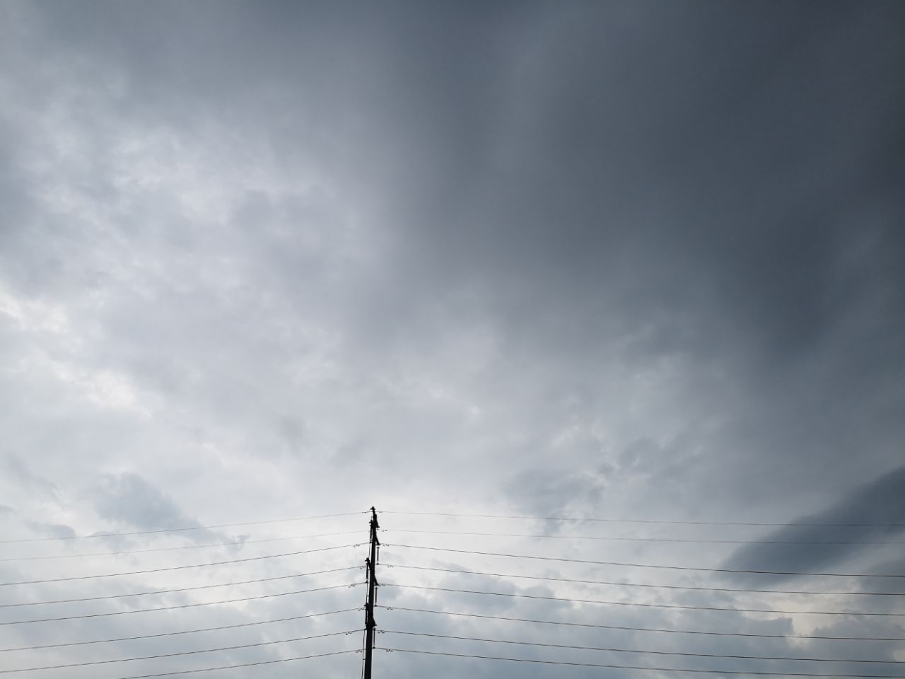 20190726_216016_1564151689628.jpg