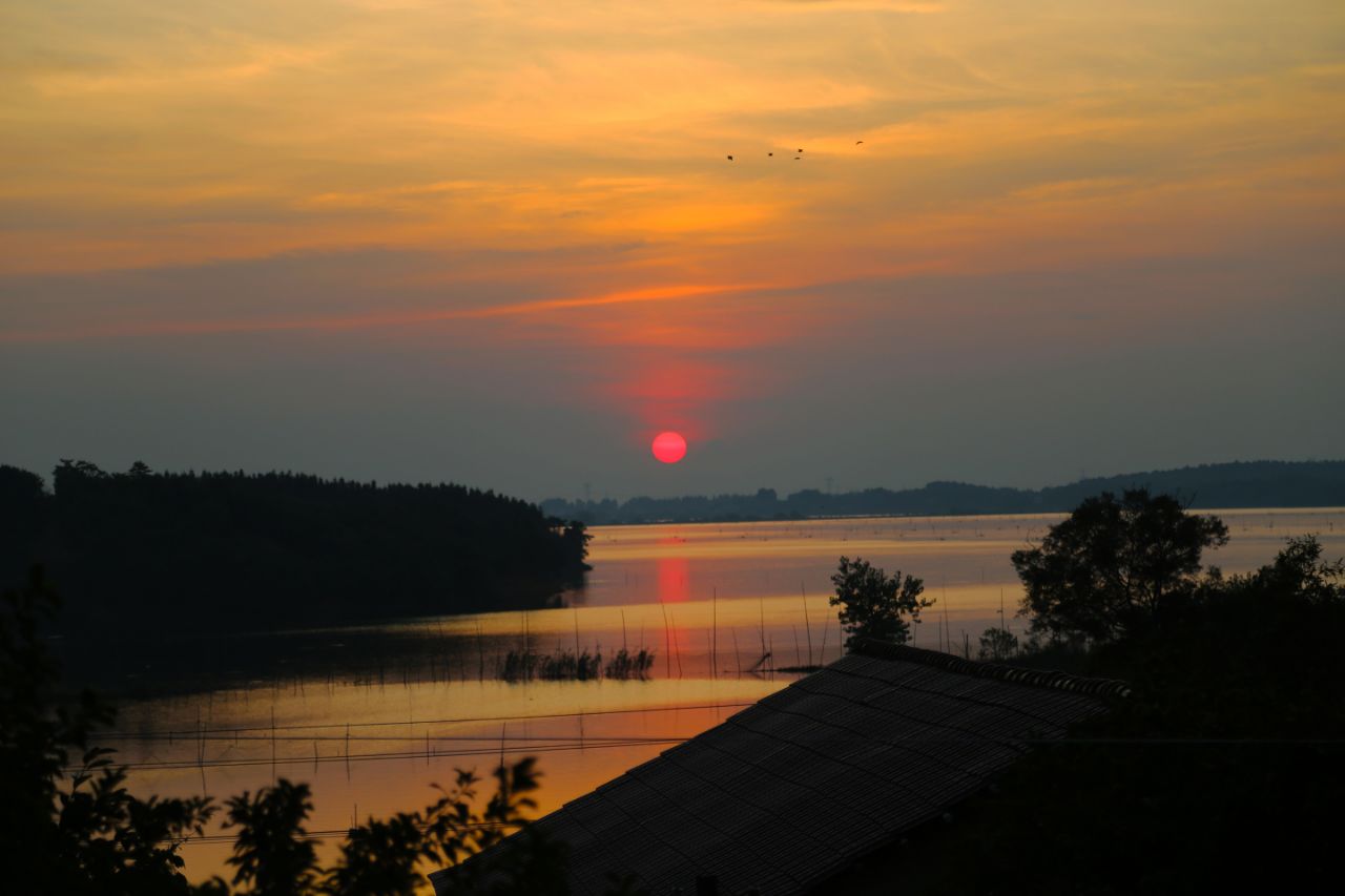 20190728_235798_1564302423767.jpg