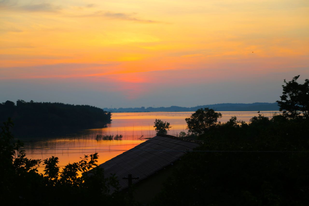 20190728_235798_1564302423933.jpg