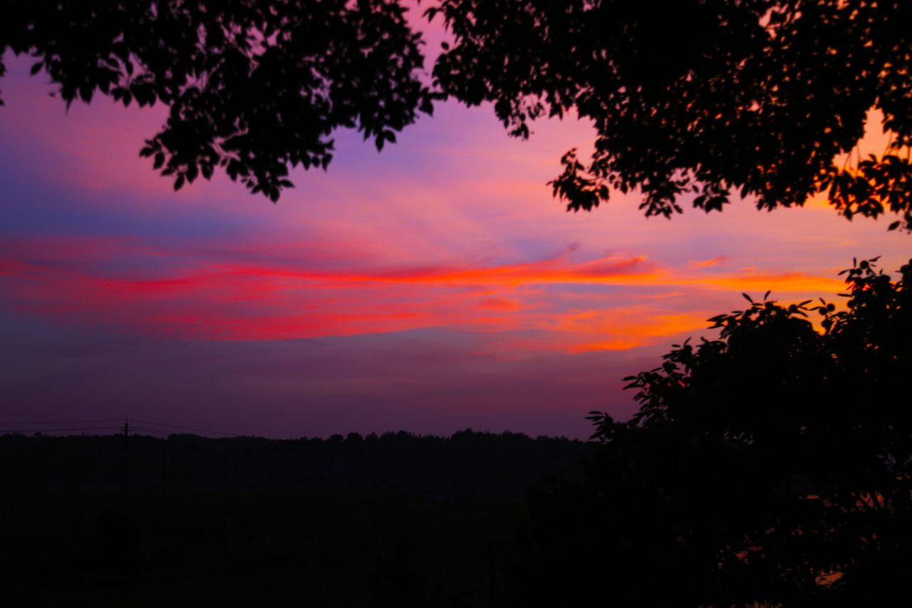 20190728_235798_1564302424443.jpg