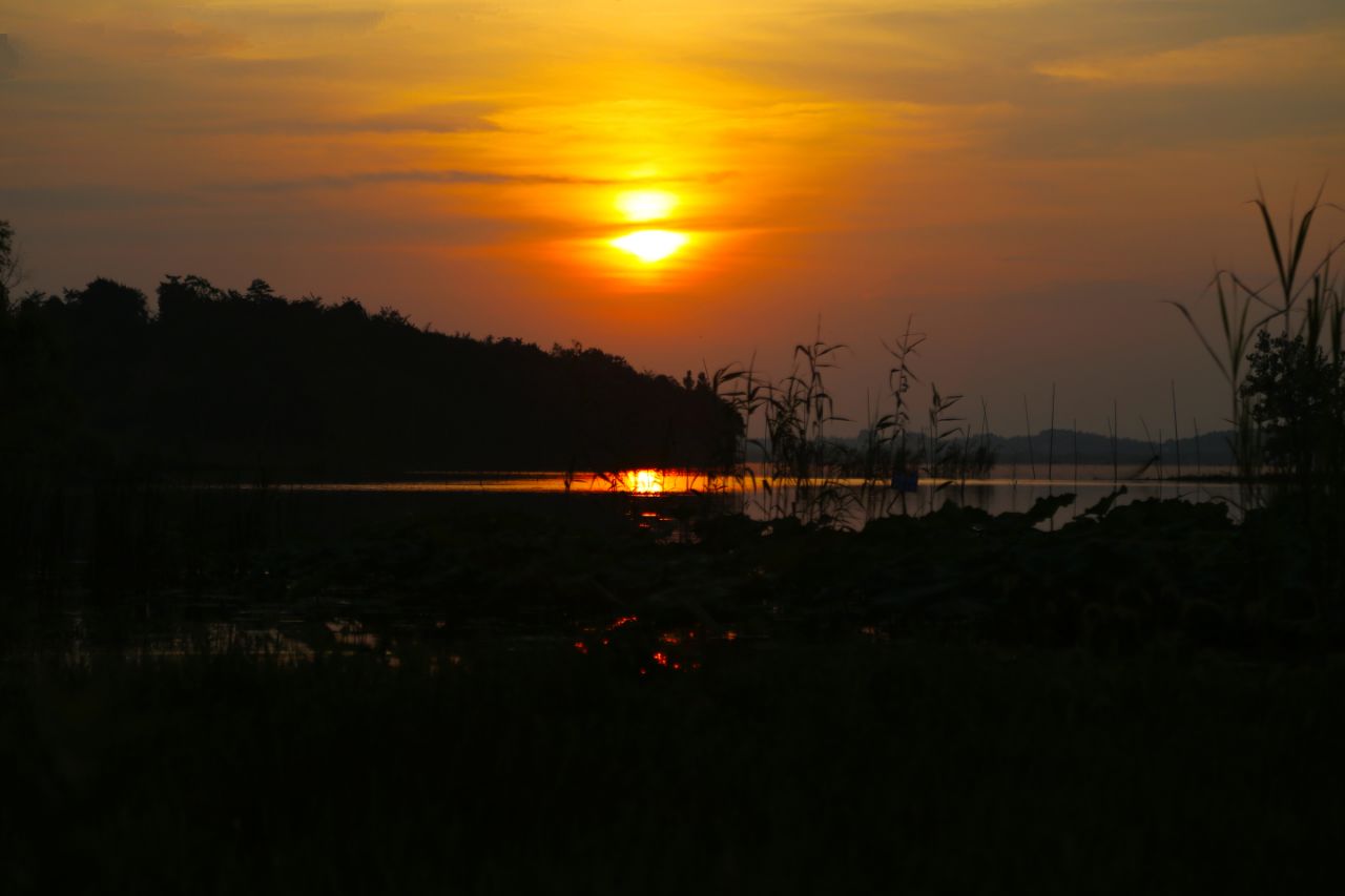 20190728_235798_1564302424591.jpg