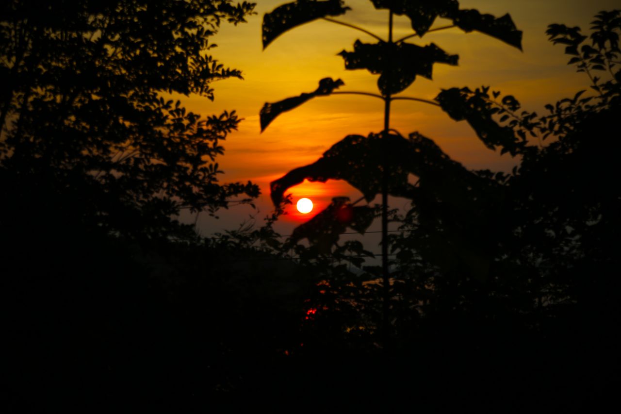 20190728_235798_1564302425035.jpg