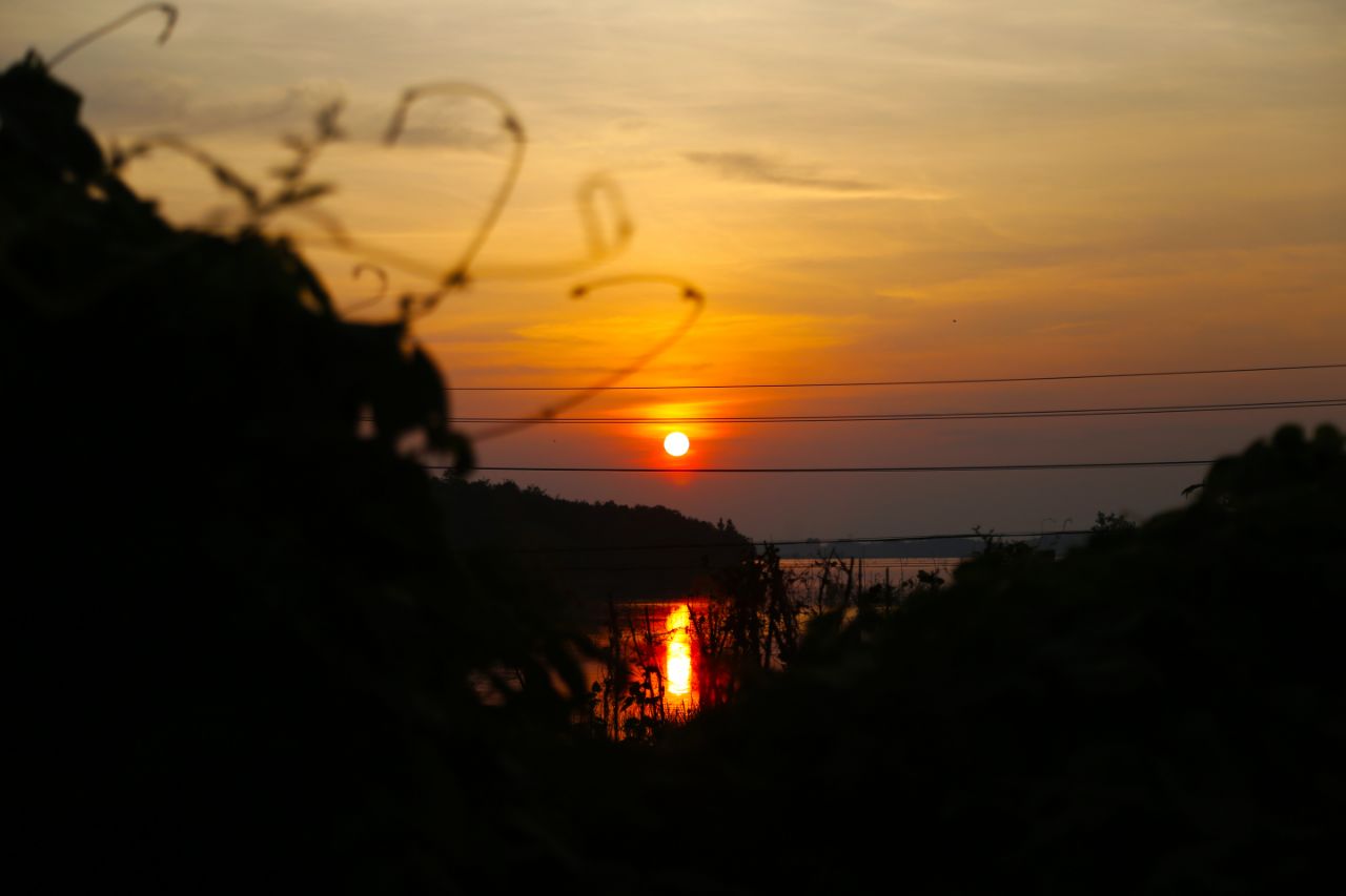 20190728_235798_1564302424896.jpg