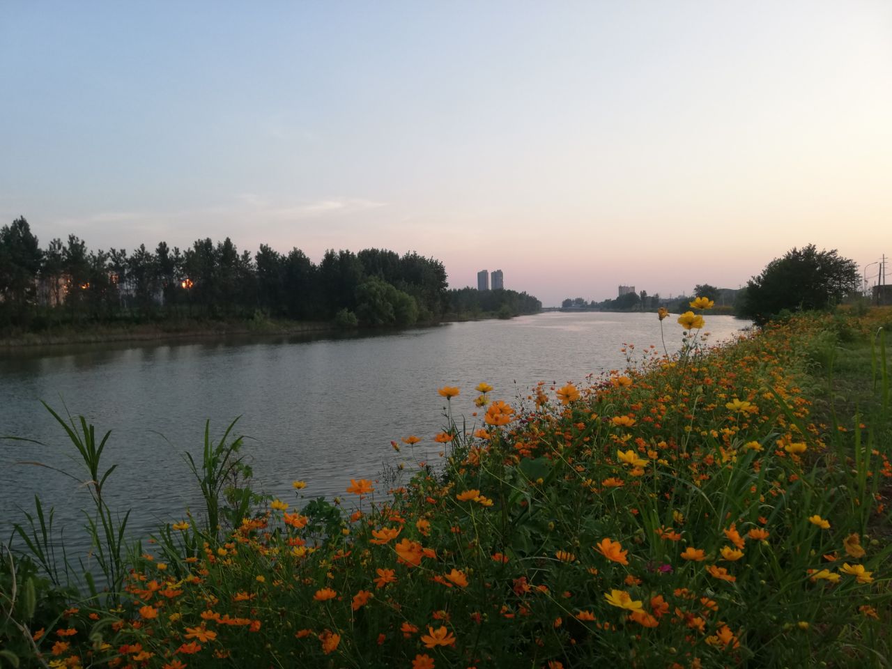 20190729_271962_1564372284647.jpg
