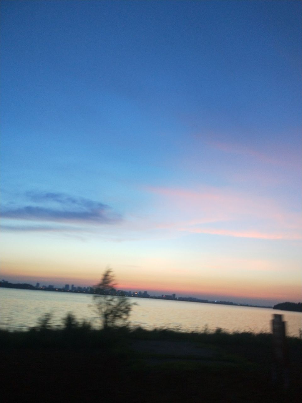 20190729_167497_1564403240675.jpg
