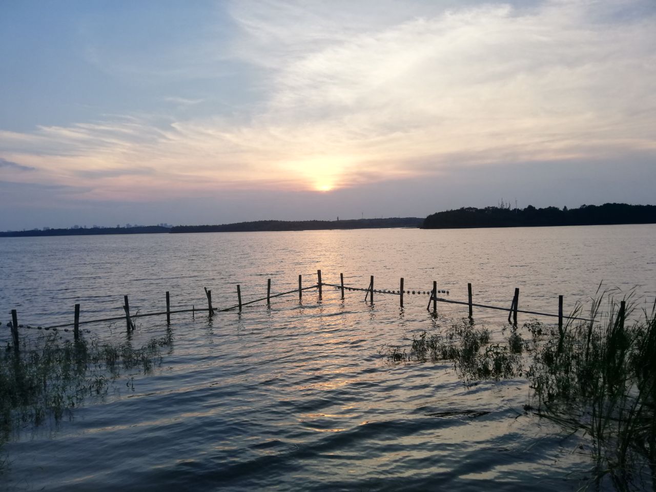 20190730_271962_1564469979550.jpg
