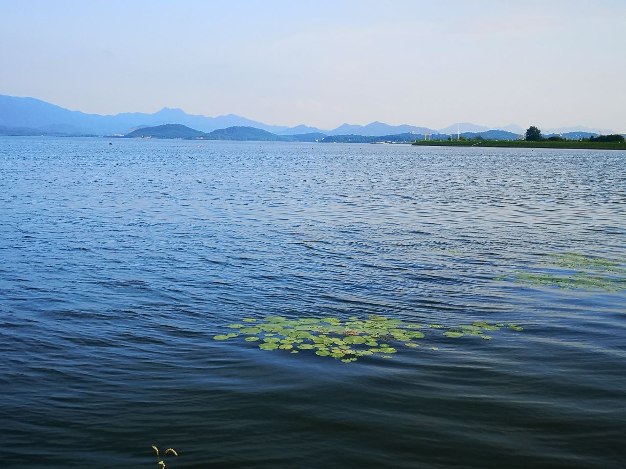 20190730_271962_1564469980670.jpg