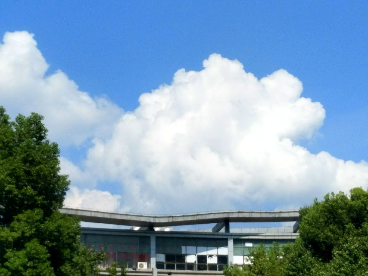 20190730_259152_1564475994018.jpg