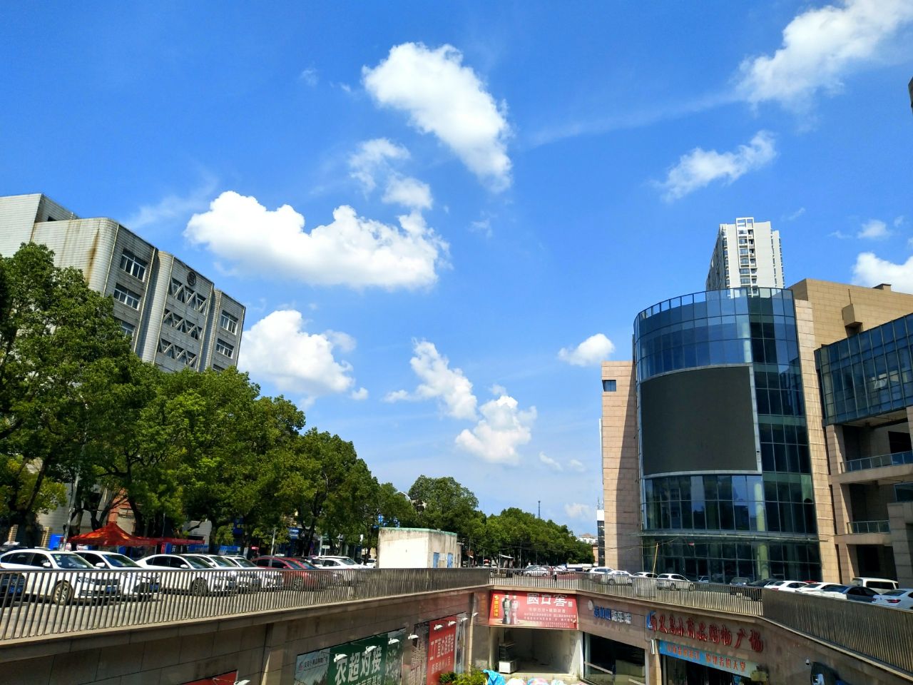 20190730_259152_1564475994377.jpg