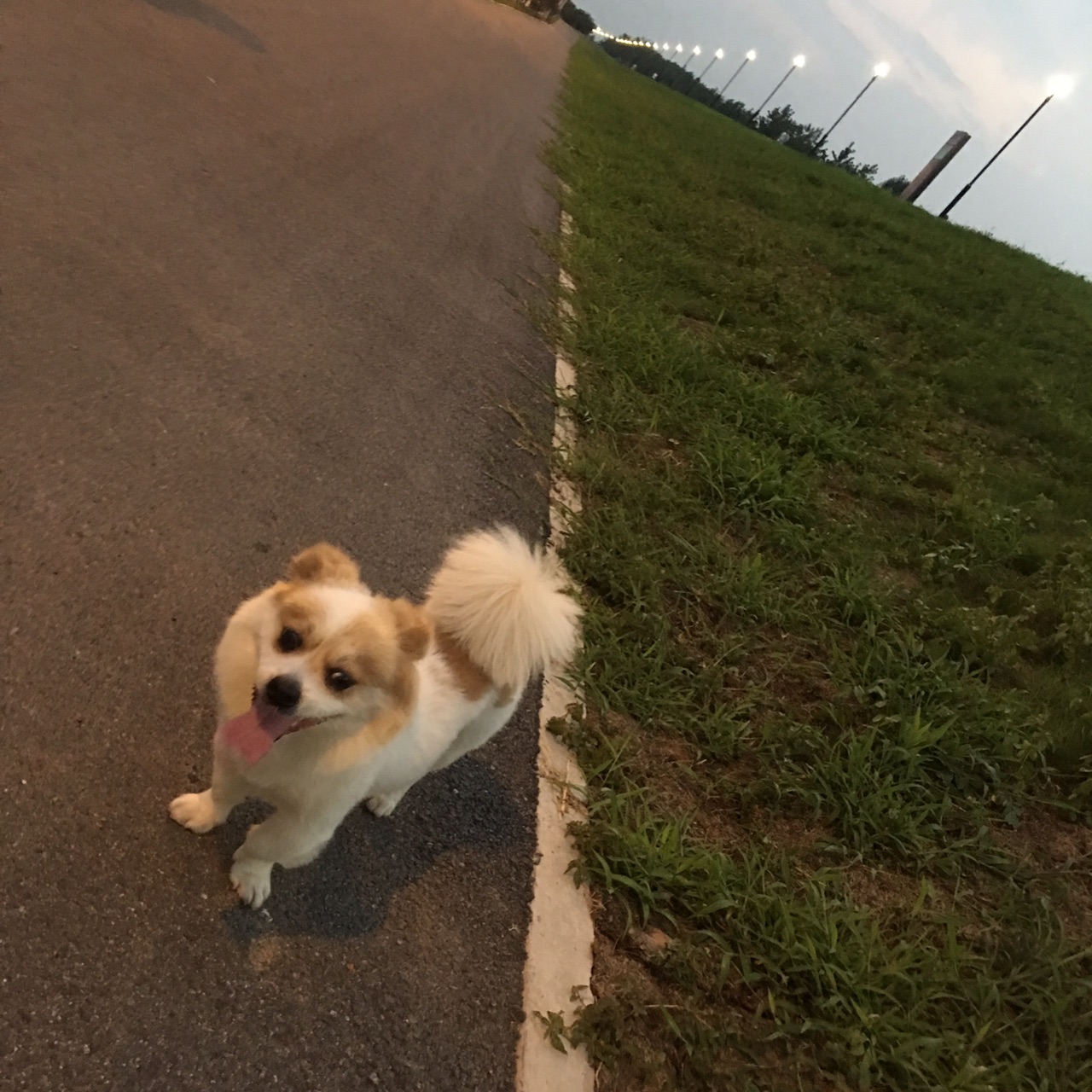 201907312949251564542187332076.jpg
