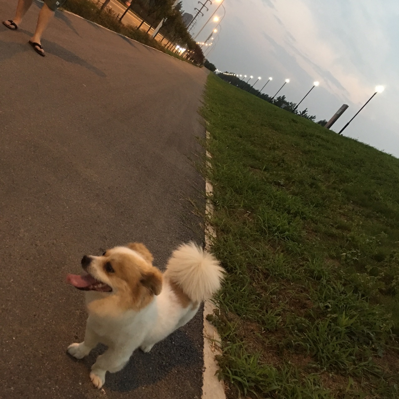 201907312949251564542187370314.jpg