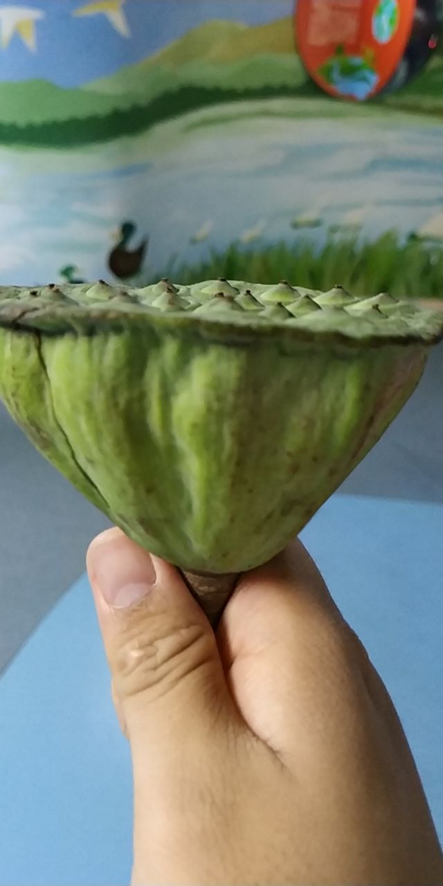 20190804_244945_1564897920707.jpg