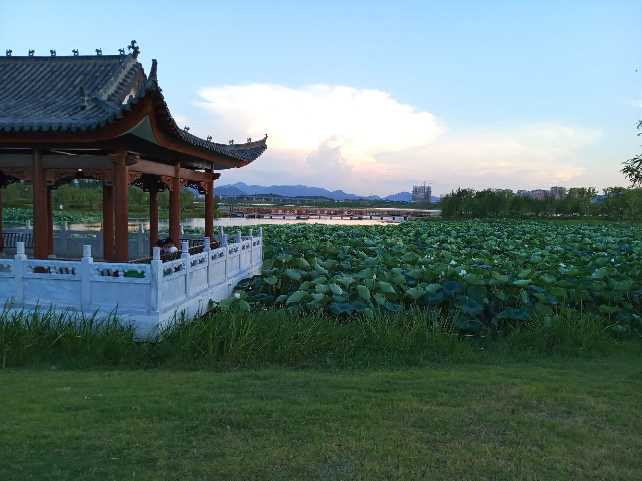 20190806_286725_1565046689819.jpg