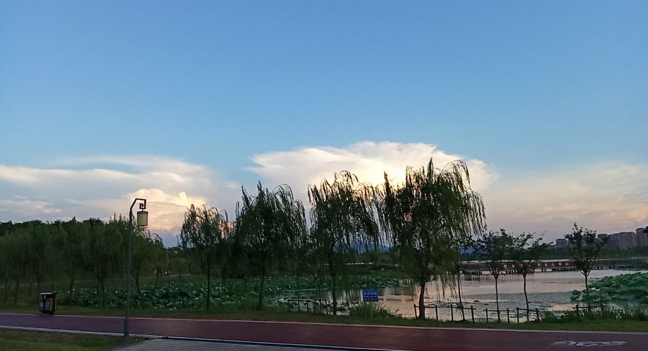 20190806_286725_1565046690228.jpg