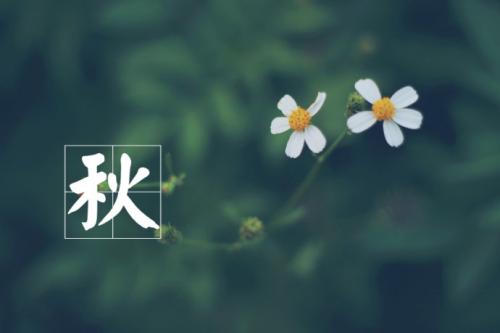u=2632961394,101947137&amp;fm=26&amp;gp=0.jpg