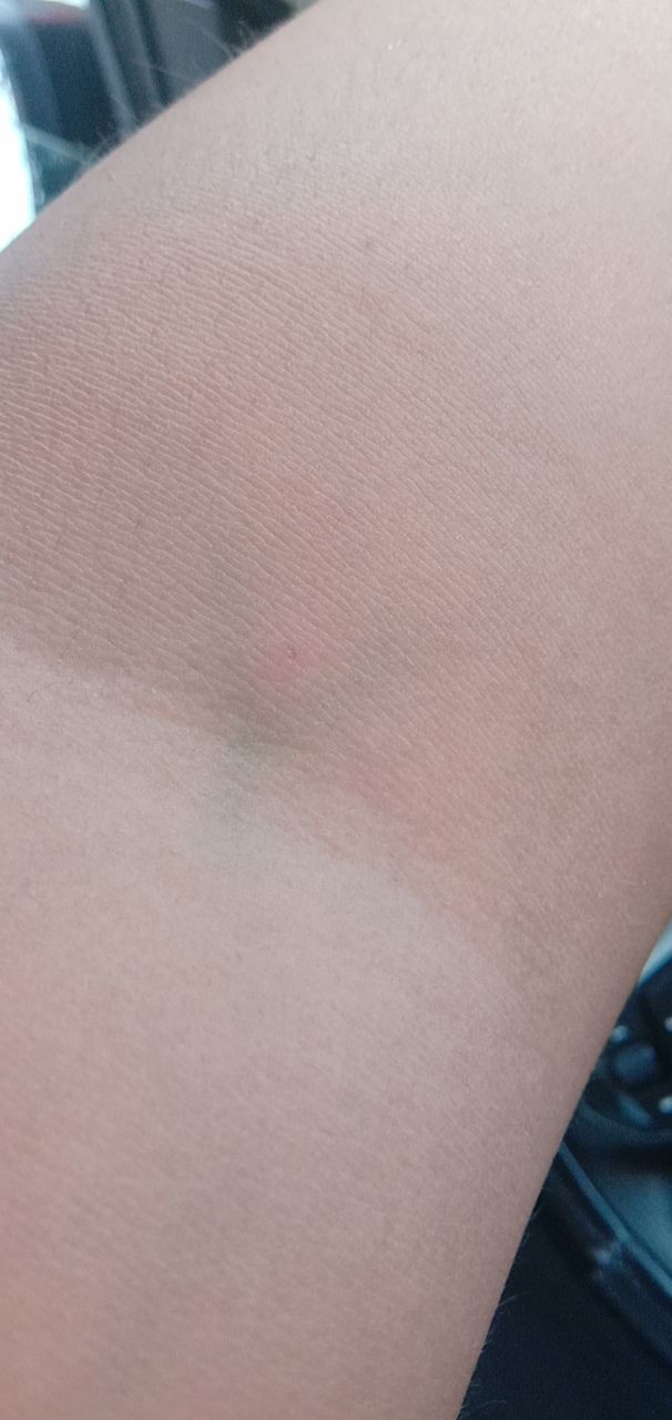 20190811_223280_1565481075407.jpg
