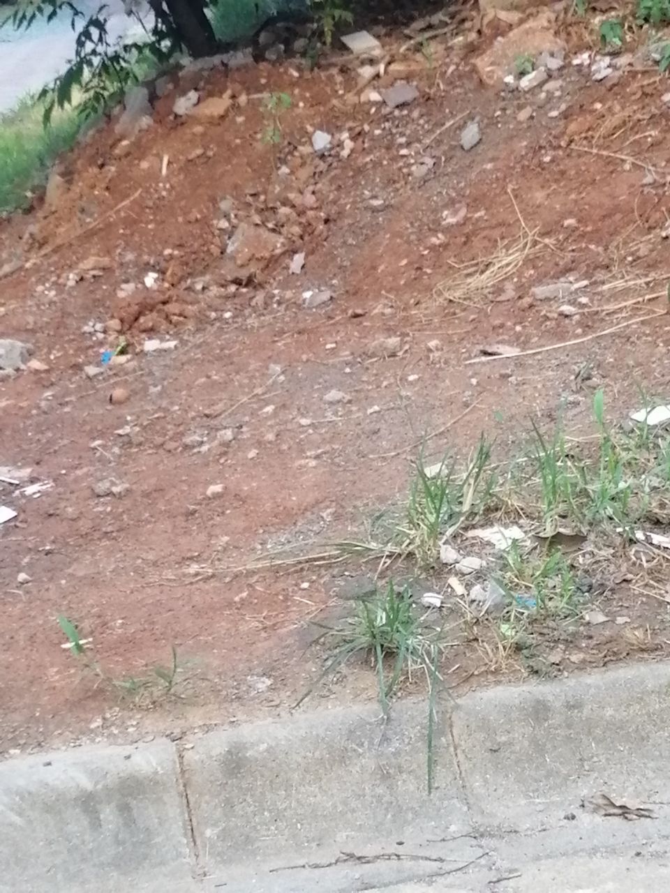 20190812_291698_1565605962060.jpg