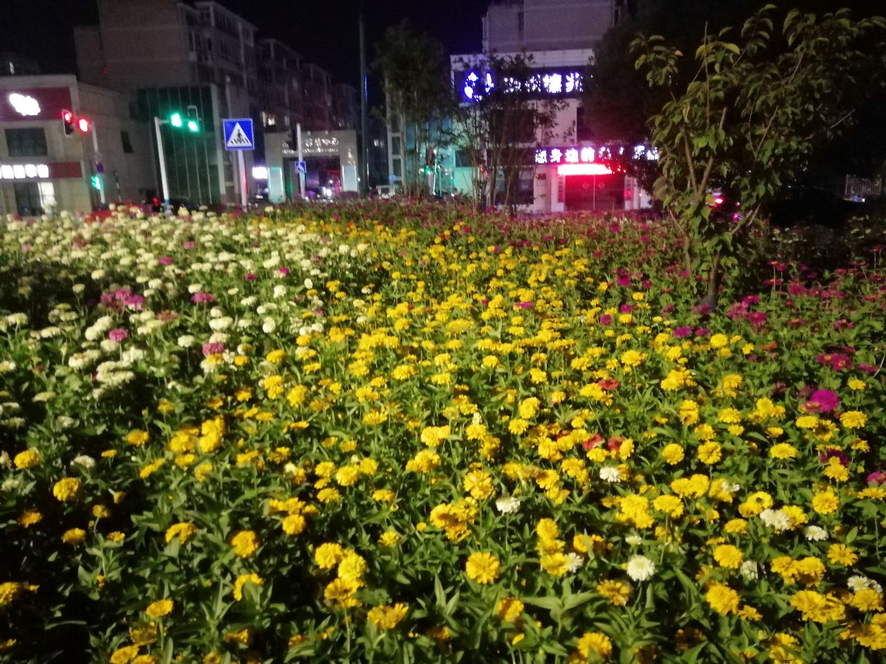 20190815_39967_1565869367113.jpg