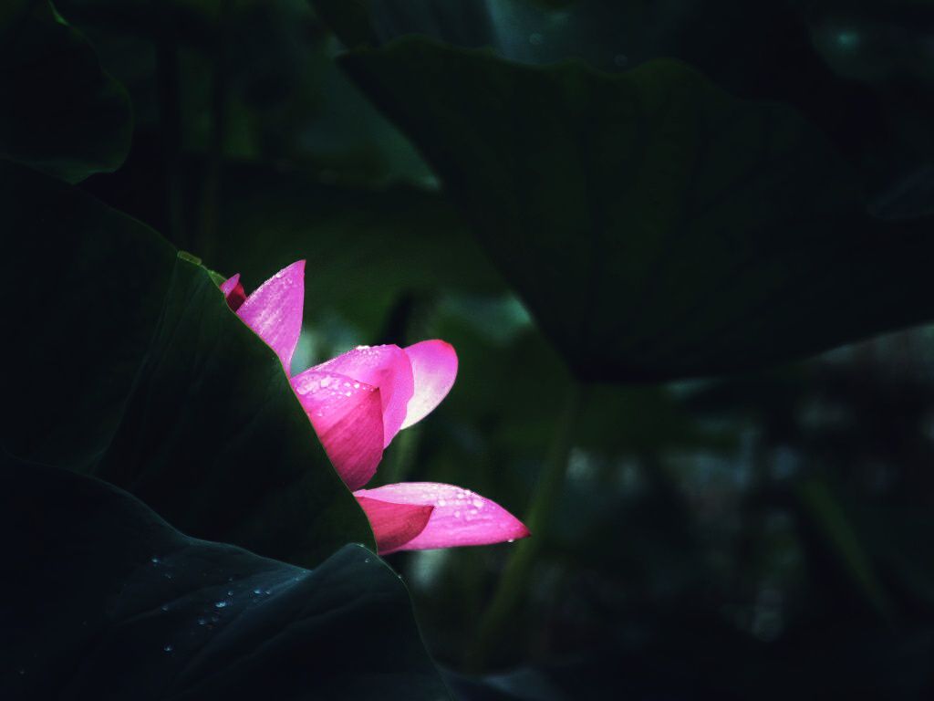 20190818_322444_1566082022264.jpg
