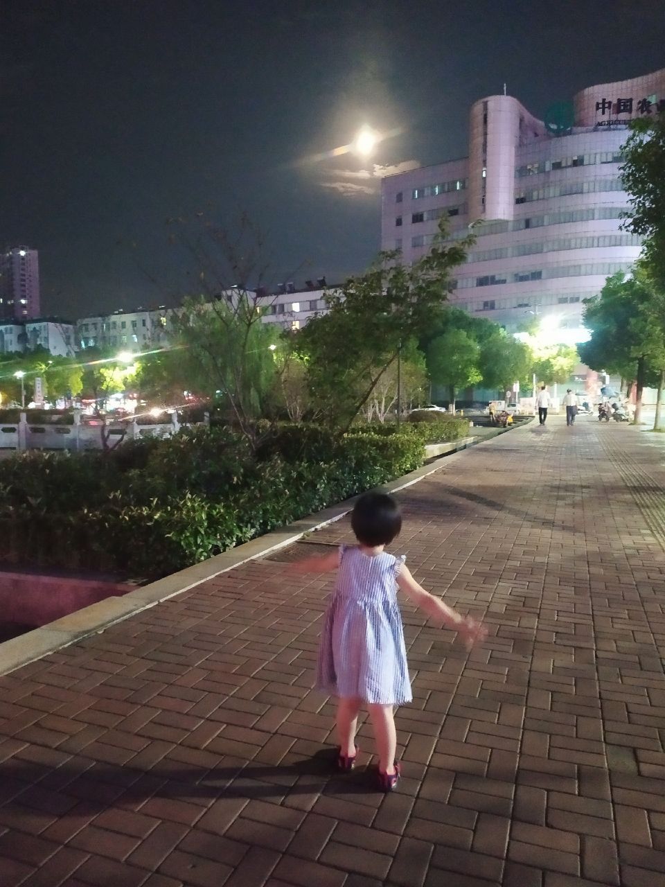 20190822_318157_1566483267113.jpg