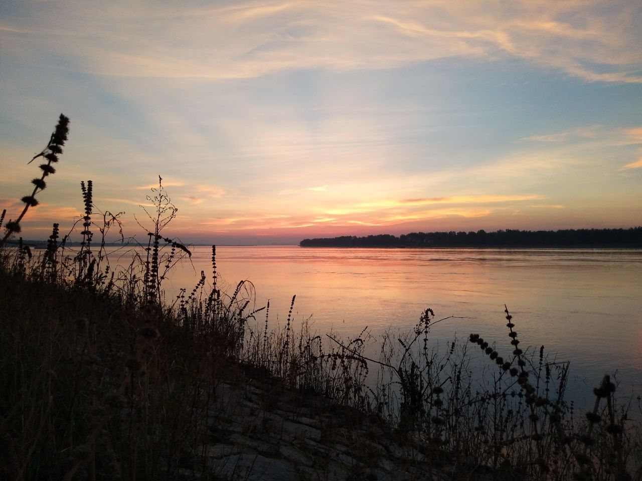 20190823_218995_1566552632500.jpg