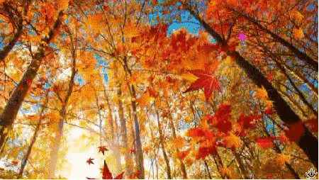 20190824223221566624487136468.gif